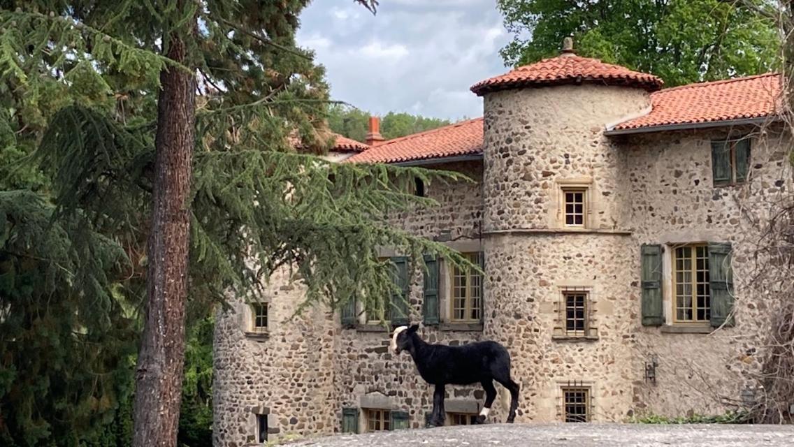 Chateau De Durianne Le Monteil  Exterior foto