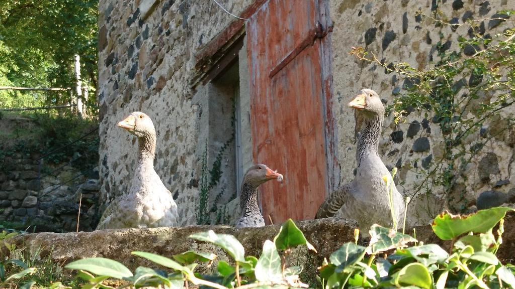 Chateau De Durianne Le Monteil  Exterior foto